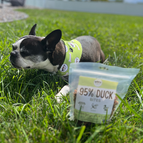 95% Duck Bites