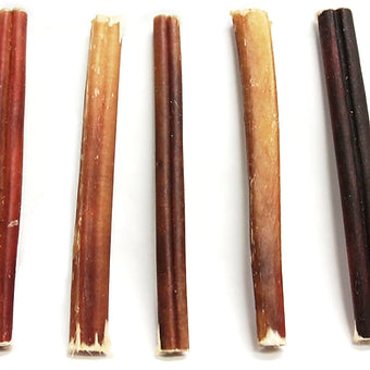 6 in Bully Stick “Pizzle”